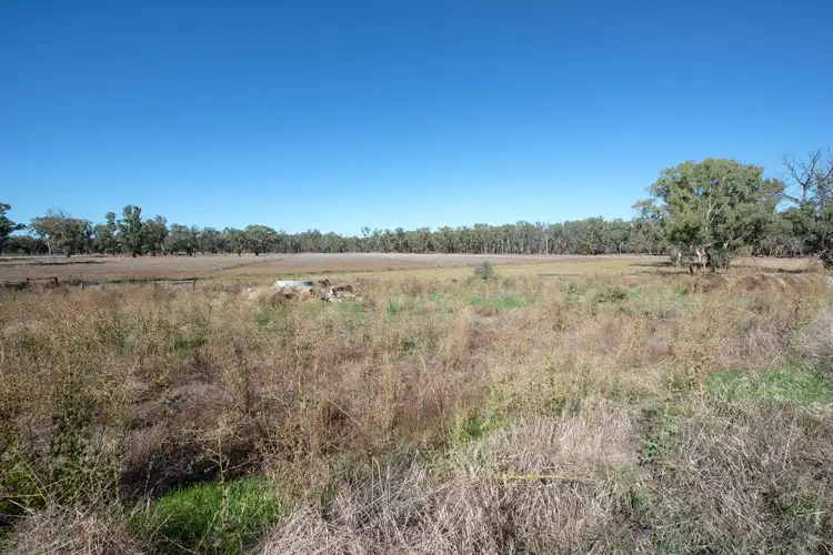 Sixth view of Homely rural property listing, 767 Koraleigh Road, Koraleigh NSW 2735