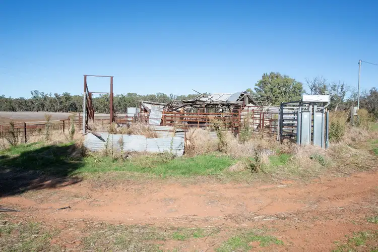 Seventh view of Homely rural property listing, 767 Koraleigh Road, Koraleigh NSW 2735