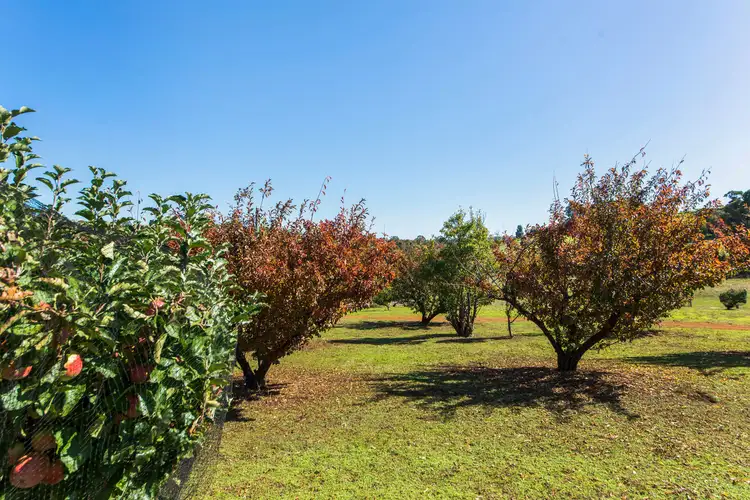 Fourth view of Homely house listing, 5 Mottram Street, Bridgetown WA 6255