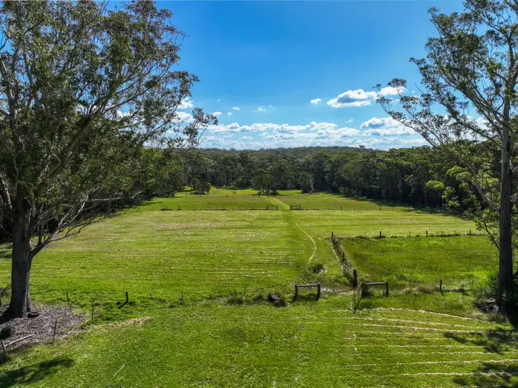 Second view of Homely rural property listing, 8 Knoll Parade, Woollamia NSW 2540