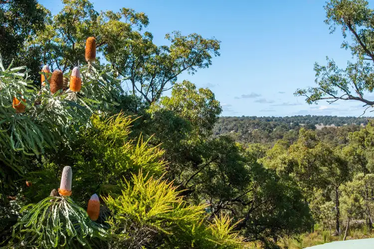 Fourth view of Homely house listing, 105 Ghost Gum Ridge, Chittering WA 6084