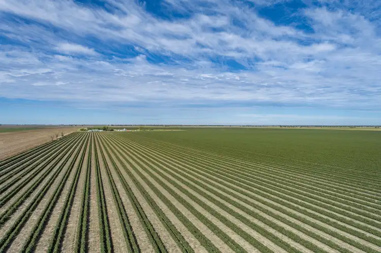 Second view of Homely rural property listing, 1003 Blaxland-Irvingdale Road, Blaxland QLD 4405