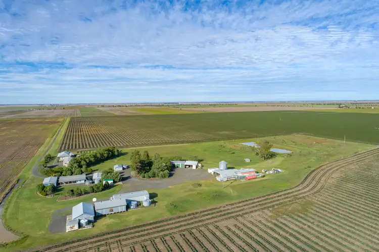 Sixth view of Homely rural property listing, 1003 Blaxland-Irvingdale Road, Blaxland QLD 4405
