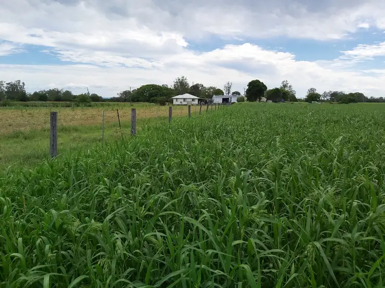 Fifth view of Homely house listing, 409 Mahons Road, Coominya QLD 4311
