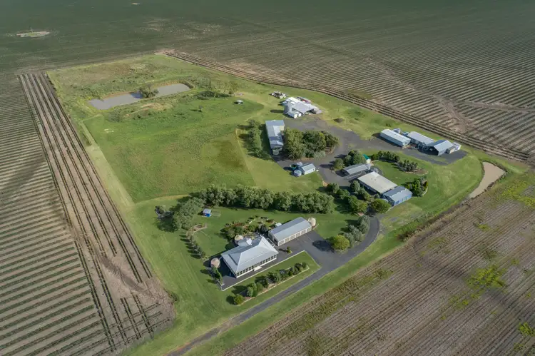 Main view of Homely rural property listing, 1003 Blaxland Irvingdale Road, Blaxland QLD 4405