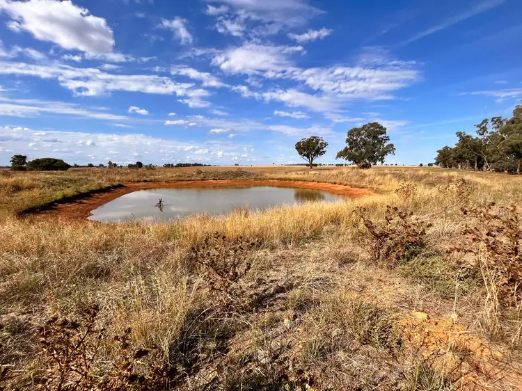 LOT 1, Lot 1 "Brigadoon" Wirrinya Road, Forbes NSW 2871
