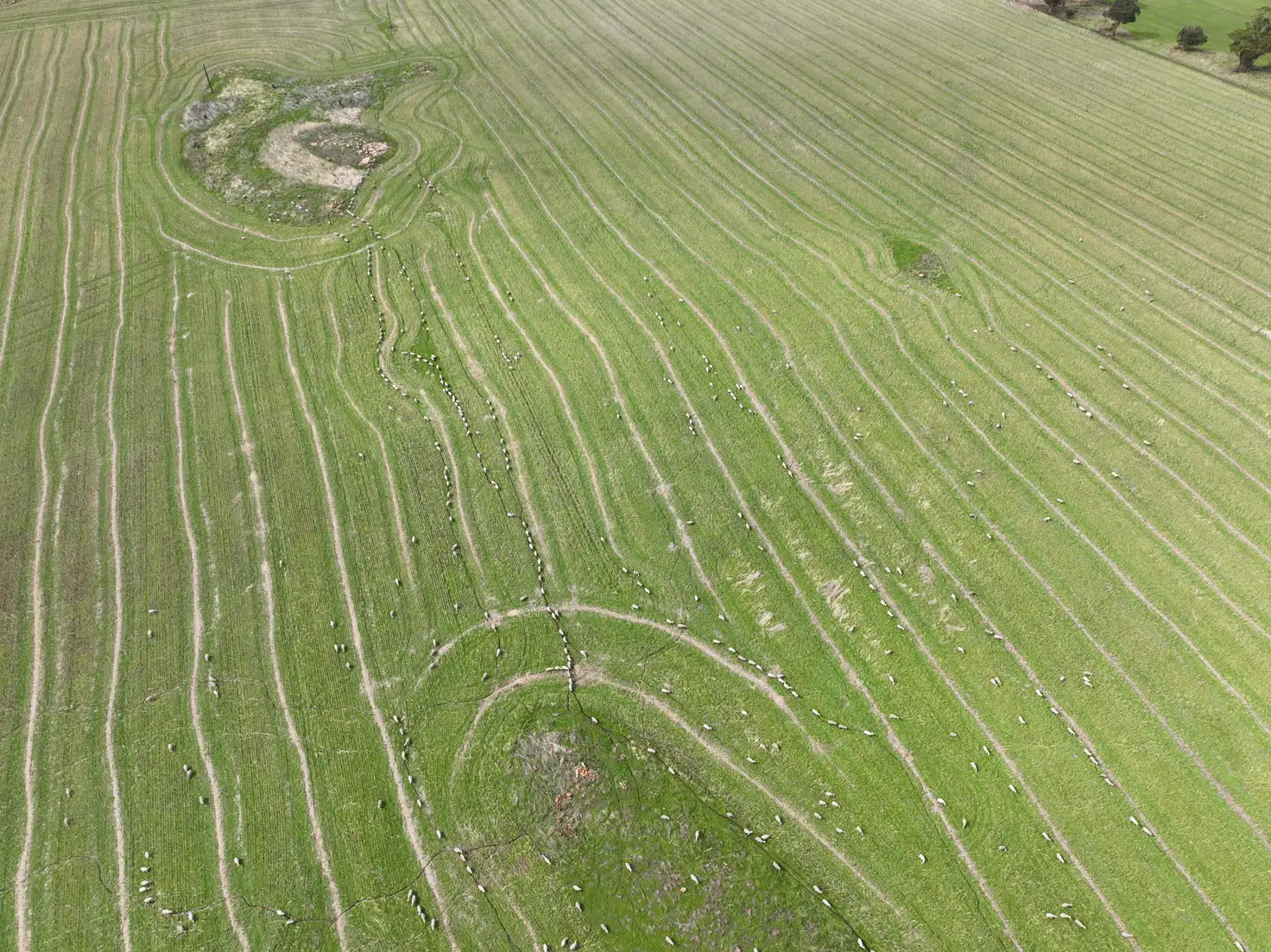 Main view of Homely rural property listing, 84 Williamson Road, Dale WA 6304