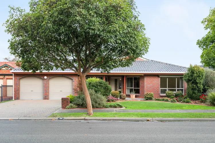 Main view of Homely house listing, 38 Parkview Avenue, Grange SA 5022