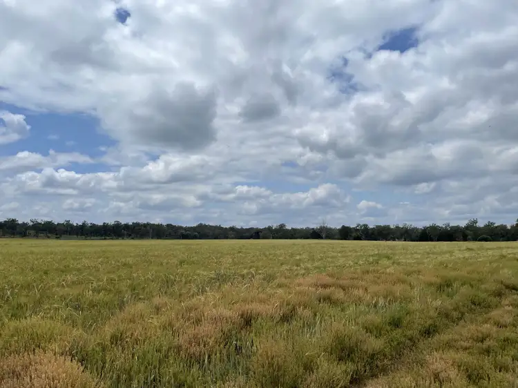 689 Mount Myrtle Road, Miles QLD 4415