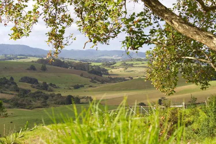 Main view of Homely rural property listing, 746 Whisky Creek Road, Dorrigo NSW 2453