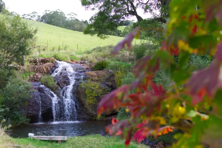Second view of Homely rural property listing, 746 Whisky Creek Road, Dorrigo NSW 2453