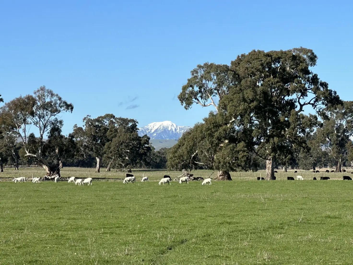 Main view of Homely land listing, 969 Long Lane, Mansfield VIC 3722
