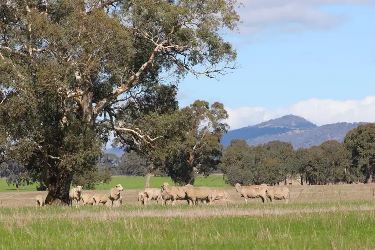 Second view of Homely land listing, 969 Long Lane, Mansfield VIC 3722