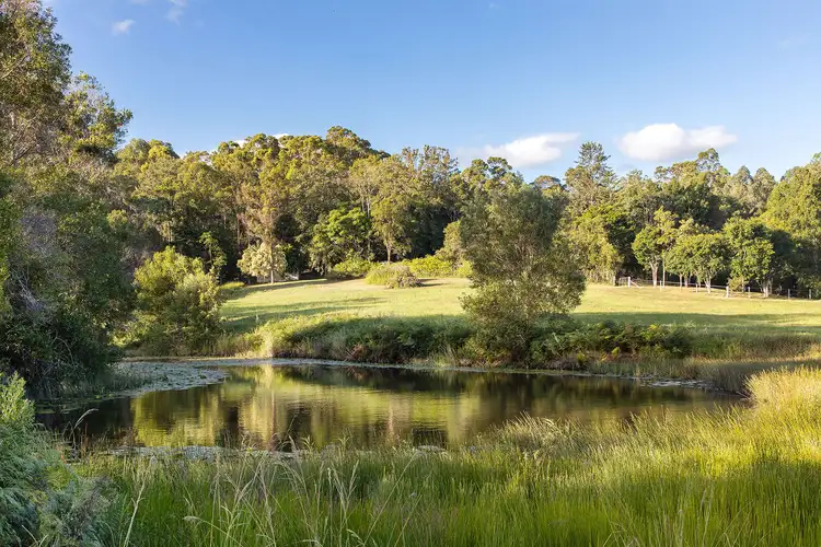 Second view of Homely rural property listing, 1448 Cooroy Belli Creek Road, Ridgewood QLD 4563