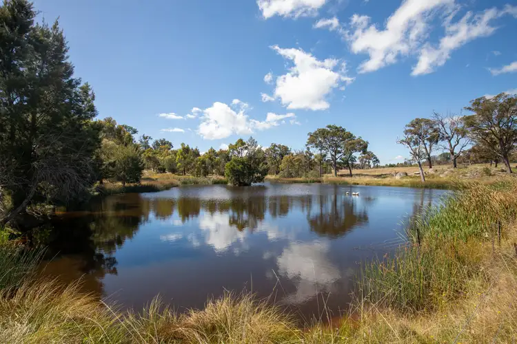1971 Boorolong Road, Boorolong NSW 2350