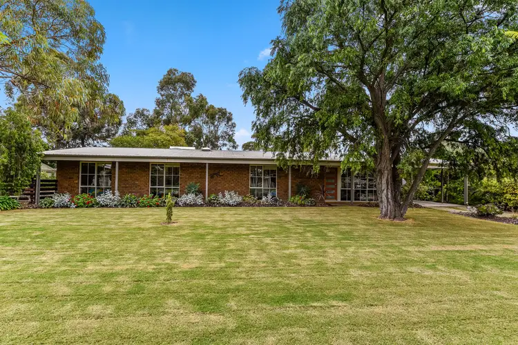 Main view of Homely house listing, 17 Buik Street, Bordertown SA 5268