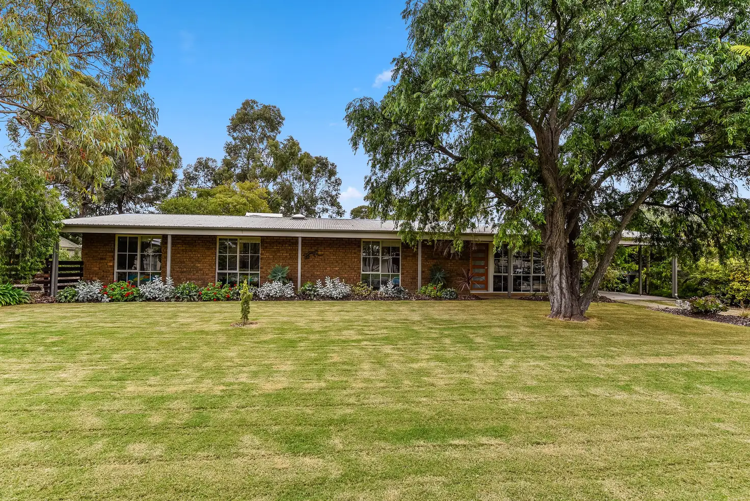 Main view of Homely house listing, 17 Buik Street, Bordertown SA 5268
