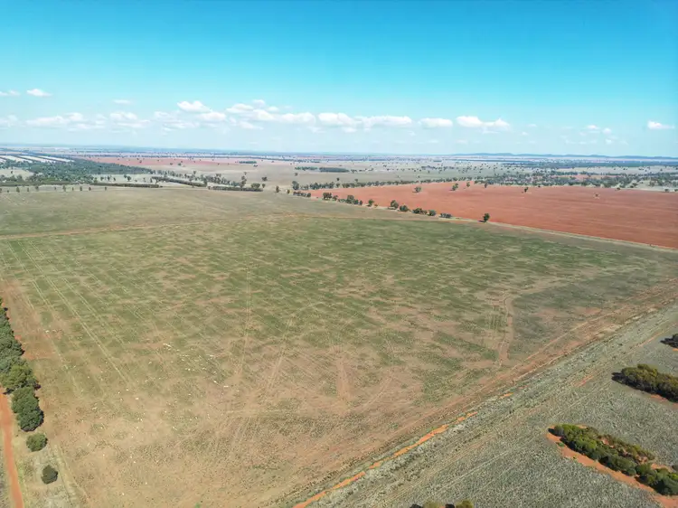 Main view of Homely rural property listing, 'Wallaroi West' 972 Wardry Bus Road, Condobolin NSW 2877