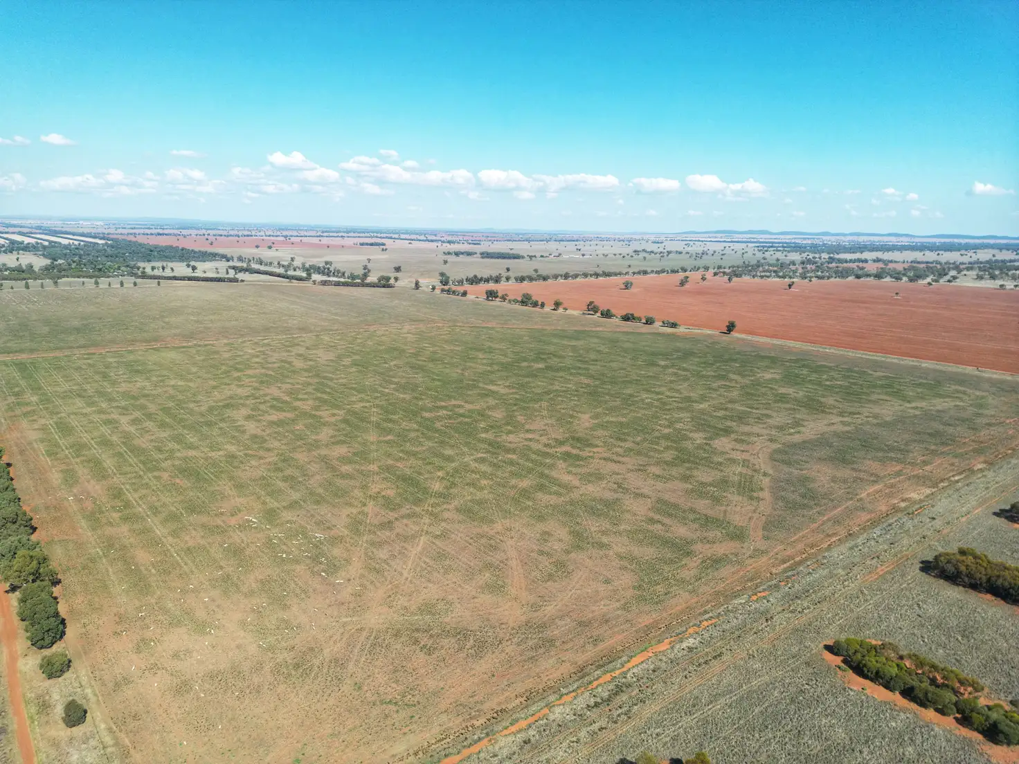 Main view of Homely rural property listing, 'Wallaroi West' 972 Wardry Bus Road, Condobolin NSW 2877