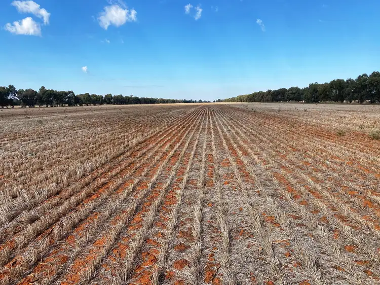 Second view of Homely rural property listing, 'Wallaroi West' 972 Wardry Bus Road, Condobolin NSW 2877