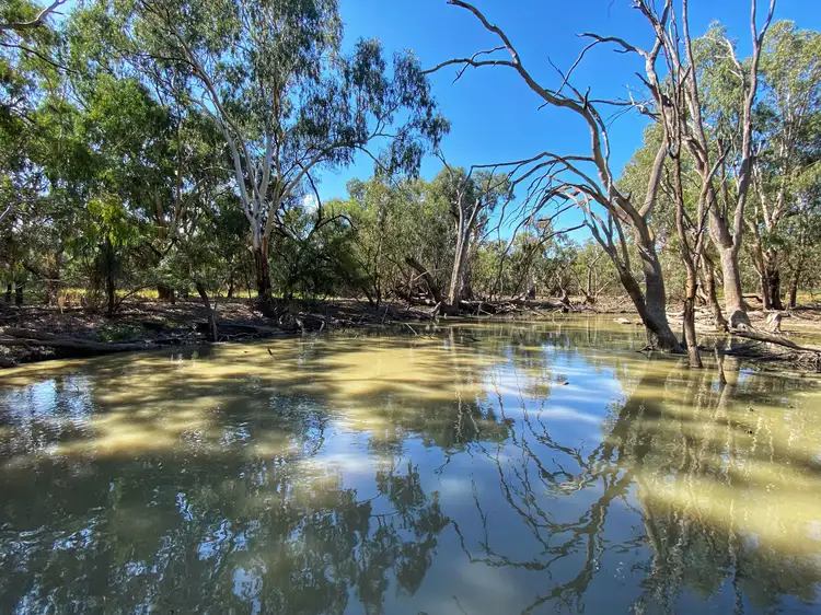 Third view of Homely rural property listing, 'Wallaroi West' 972 Wardry Bus Road, Condobolin NSW 2877