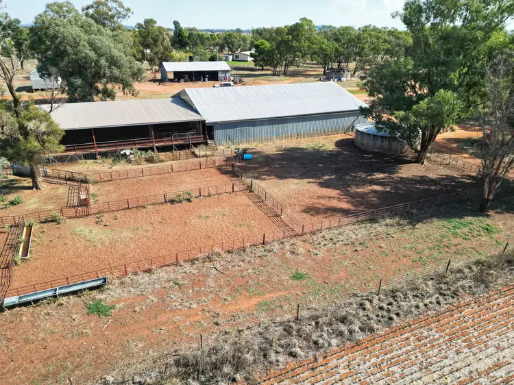 Sixth view of Homely rural property listing, 'Wallaroi West' 972 Wardry Bus Road, Condobolin NSW 2877