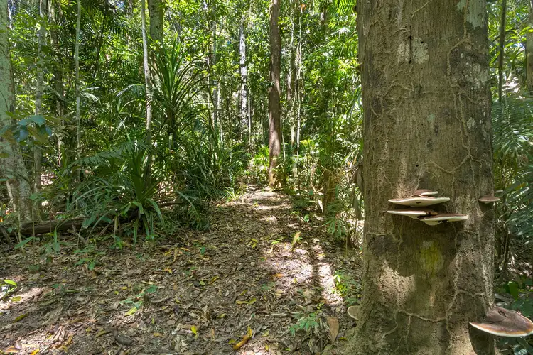Third view of Homely land listing, Lot 4, 271 Oak Forest Road, Kuranda QLD 4881