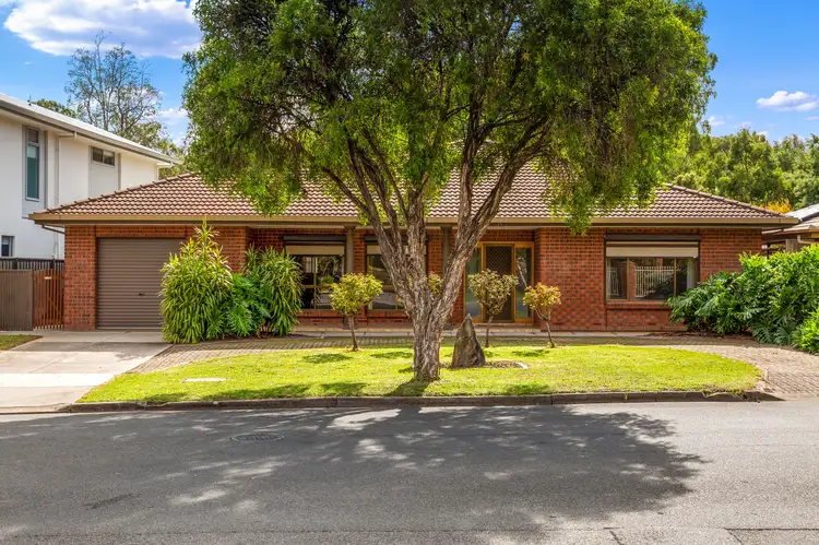 23 Watson Street, Hectorville SA 5073