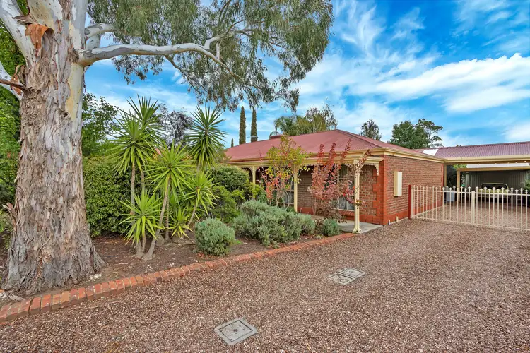 24 Auricht Avenue, Tanunda SA 5352
