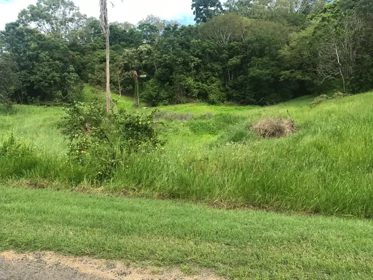 Seventh view of Homely rural property listing, 163 Gardiners Road, Habana QLD 4740