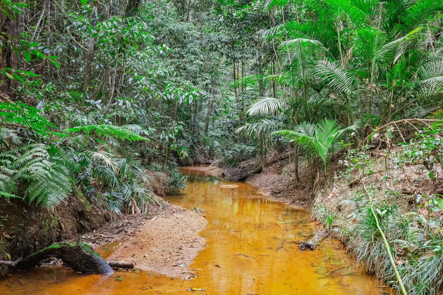 Main view of Homely land listing, Lot 35 Kingfisher Drive, Kuranda QLD 4881