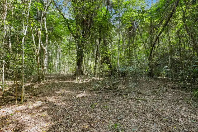 Third view of Homely land listing, Lot 35 Kingfisher Drive, Kuranda QLD 4881