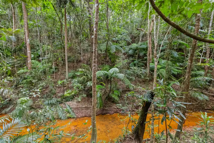 Fourth view of Homely land listing, Lot 35 Kingfisher Drive, Kuranda QLD 4881
