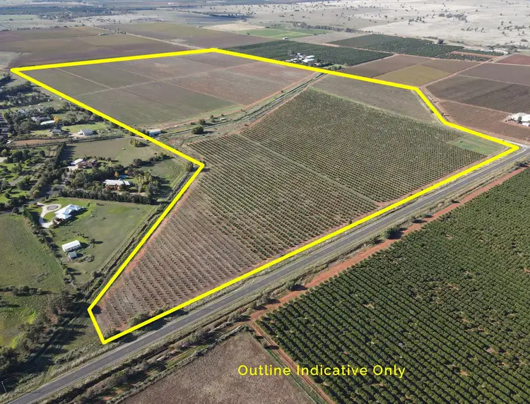 Main view of Homely rural property listing, 243 Smeeth Road, Lake Wyangan NSW 2680