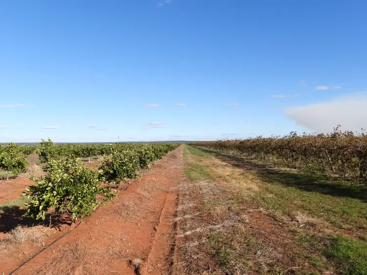Fifth view of Homely rural property listing, 243 Smeeth Road, Lake Wyangan NSW 2680