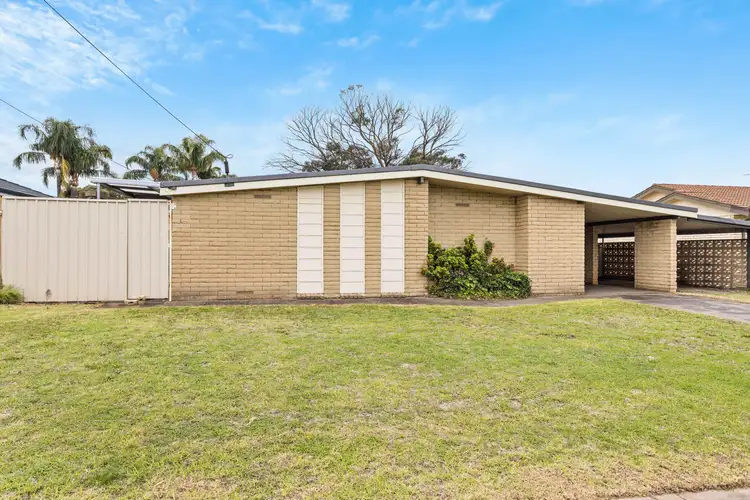 50 Suzanne Avenue, Morphett Vale SA 5162