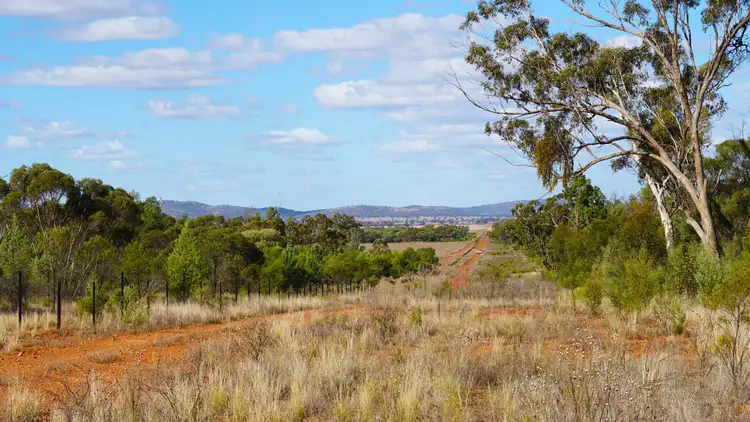Sixth view of Homely rural property listing, Part Mount Tinda Rosedale Road, Condobolin NSW 2877