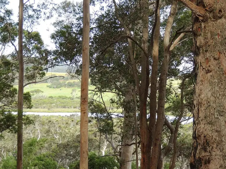 Fourth view of Homely land listing, 5 South Coast Highway, Nornalup WA 6333