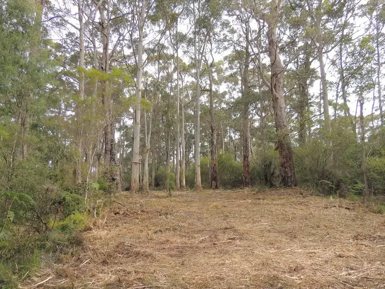 Sixth view of Homely land listing, 5 South Coast Highway, Nornalup WA 6333