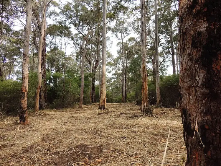 Seventh view of Homely land listing, 5 South Coast Highway, Nornalup WA 6333