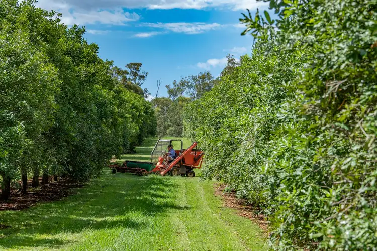 264 Williams Road, Benarkin North QLD 4314