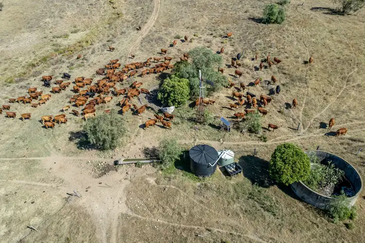 Second view of Homely rural property listing, 11 Peranga Narko Road, Peranga QLD 4352