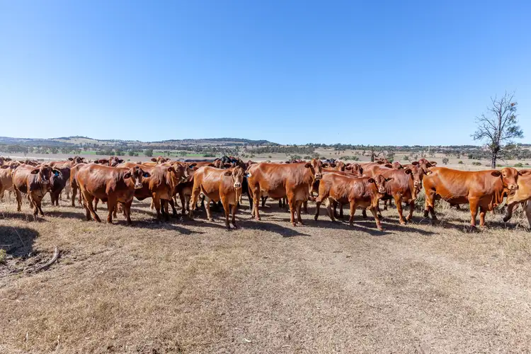 Seventh view of Homely rural property listing, 11 Peranga Narko Road, Peranga QLD 4352