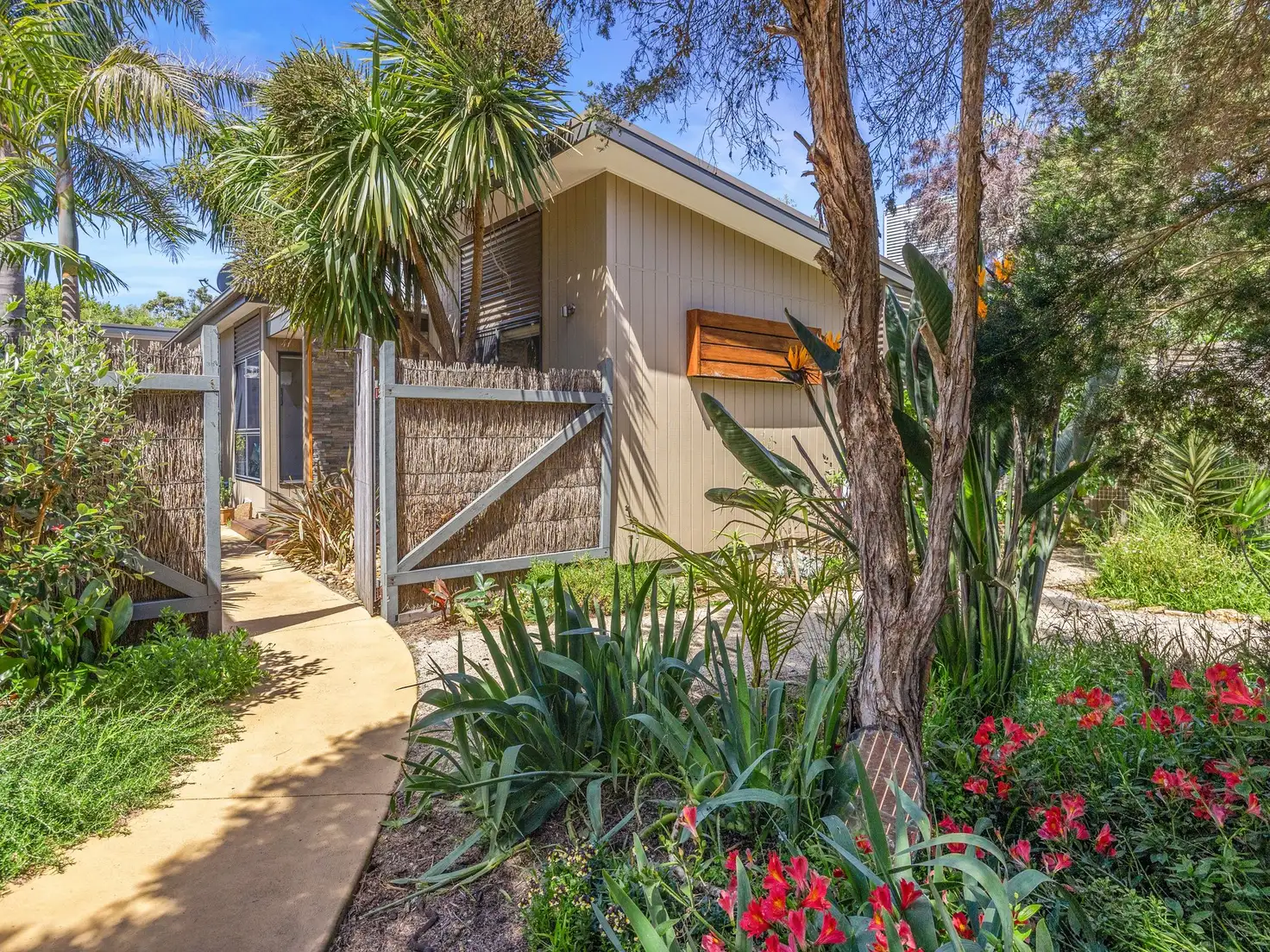 Main view of Homely house listing, 31 First Avenue, Cape Woolamai VIC 3925