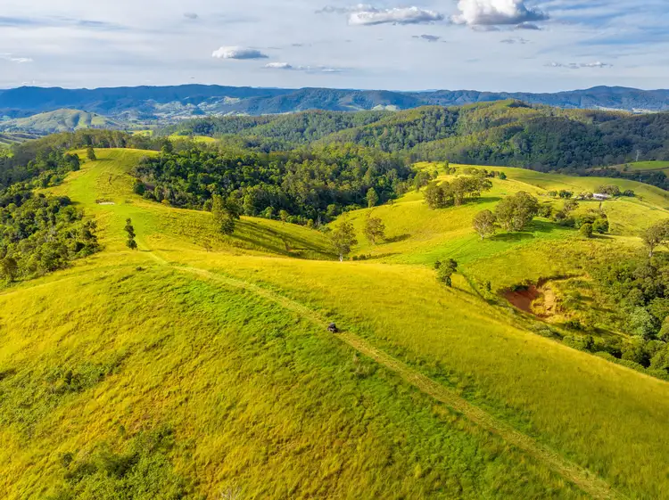 Main view of Homely rural property listing, 200 Days Road, Tipperary NSW 2429