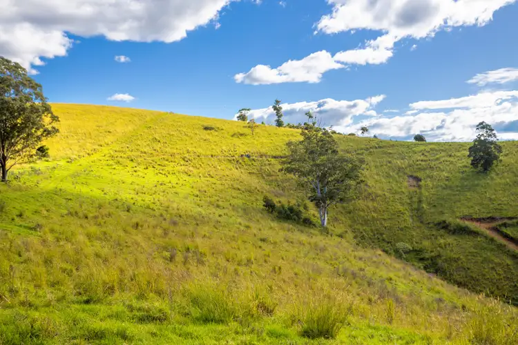 Fourth view of Homely rural property listing, 200 Days Road, Tipperary NSW 2429