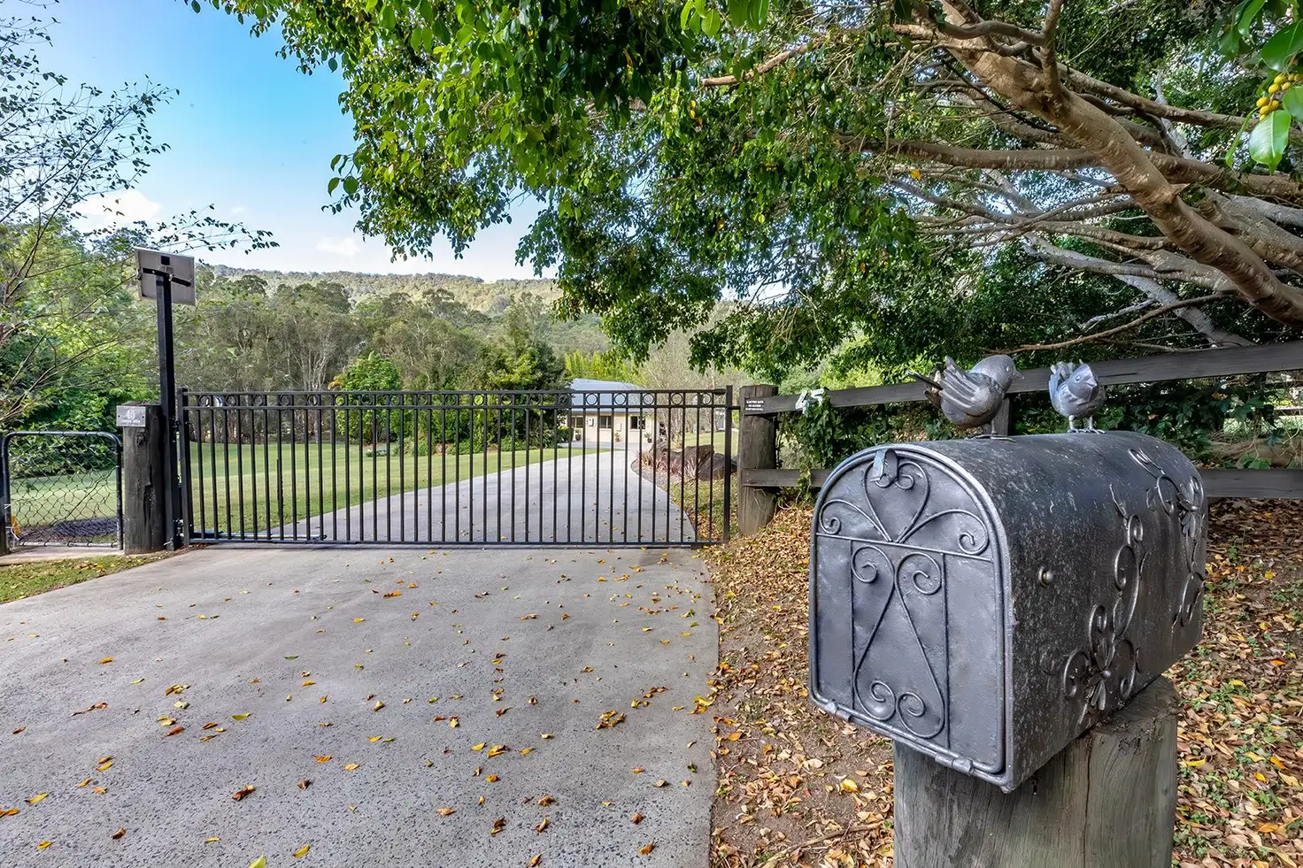 Main view of Homely rural property listing, 45-61 Camphor Drive, Boyland QLD 4275