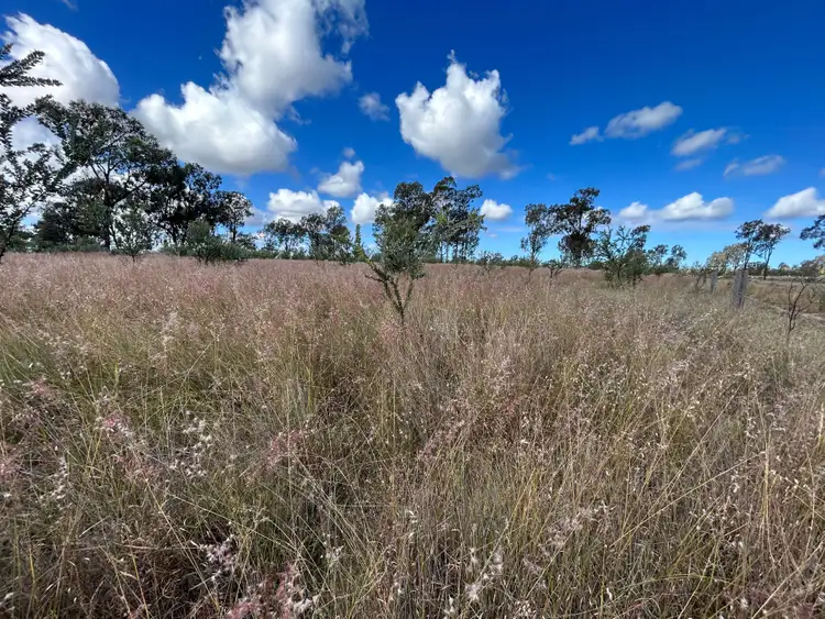 Fourth view of Homely rural property listing, 305 Mount Myrtle Road, Dalwogon QLD 4415