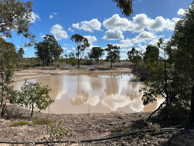 Fifth view of Homely rural property listing, 305 Mount Myrtle Road, Dalwogon QLD 4415