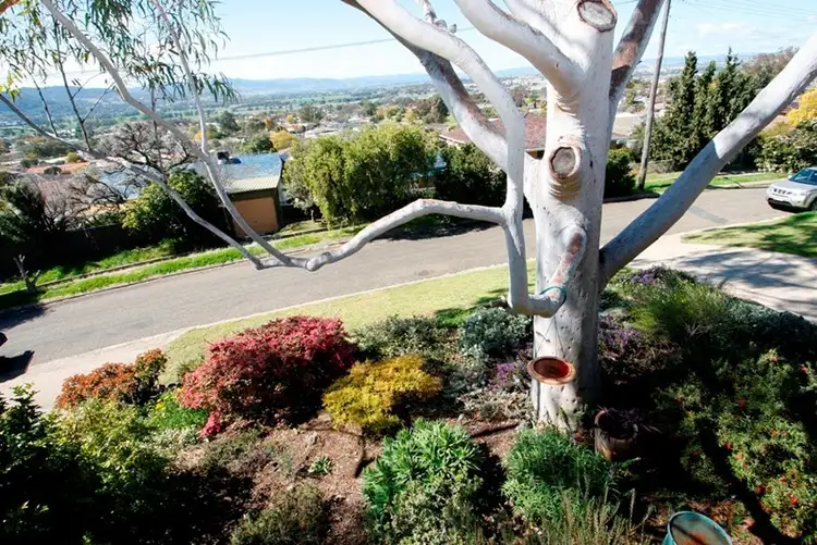 Third view of Homely house listing, 76 Croydon Avenue, Tamworth NSW 2340